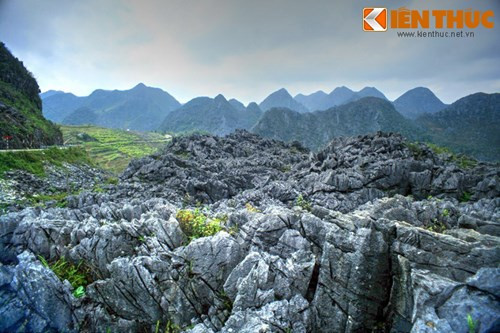 Dạng địa hình này được tạo nên bởi các dãy núi đá vôi bị phong hóa, trên bề mặt hầu như không có lớp phủ thực vật, các tảng, khối đá phủ khắp bề mặt sườn núi.