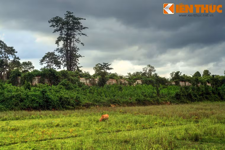 Mõ làng làm việc này không có lương bổng. Tuy nhiên anh ta thường được làng cấp cho một mảnh đất công nhỏ để cày cấy hoặc đến mùa gặt được các địa chủ cho một ít thóc. Dù làm ít hay nhiều thì lợi ích của anh mõ cũng chỉ có vậy.