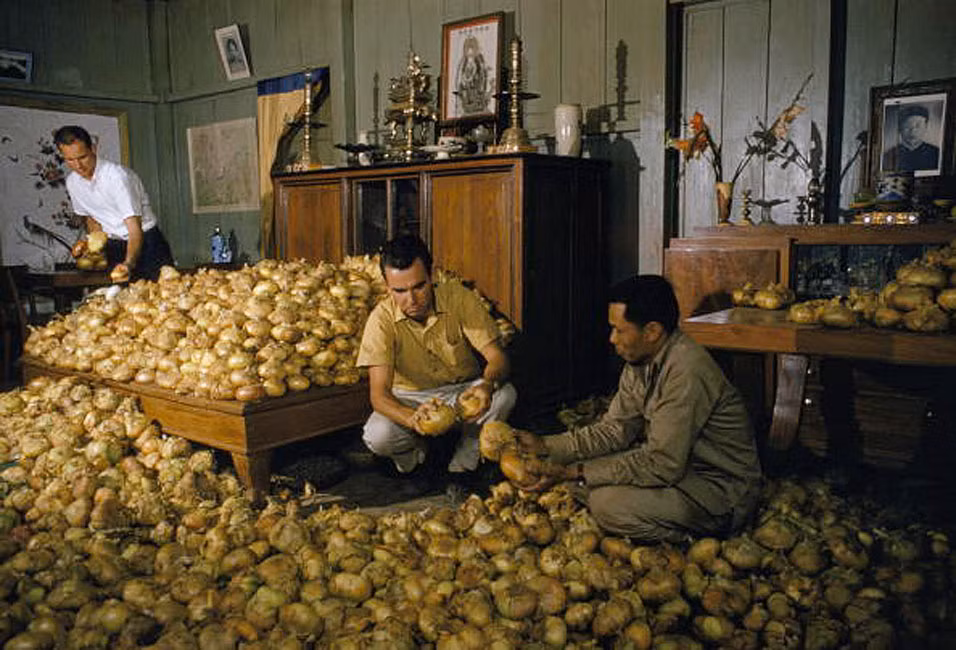 Hai người Mỹ mua hành tây tại nhà một nông dân ở Đà Lạt.