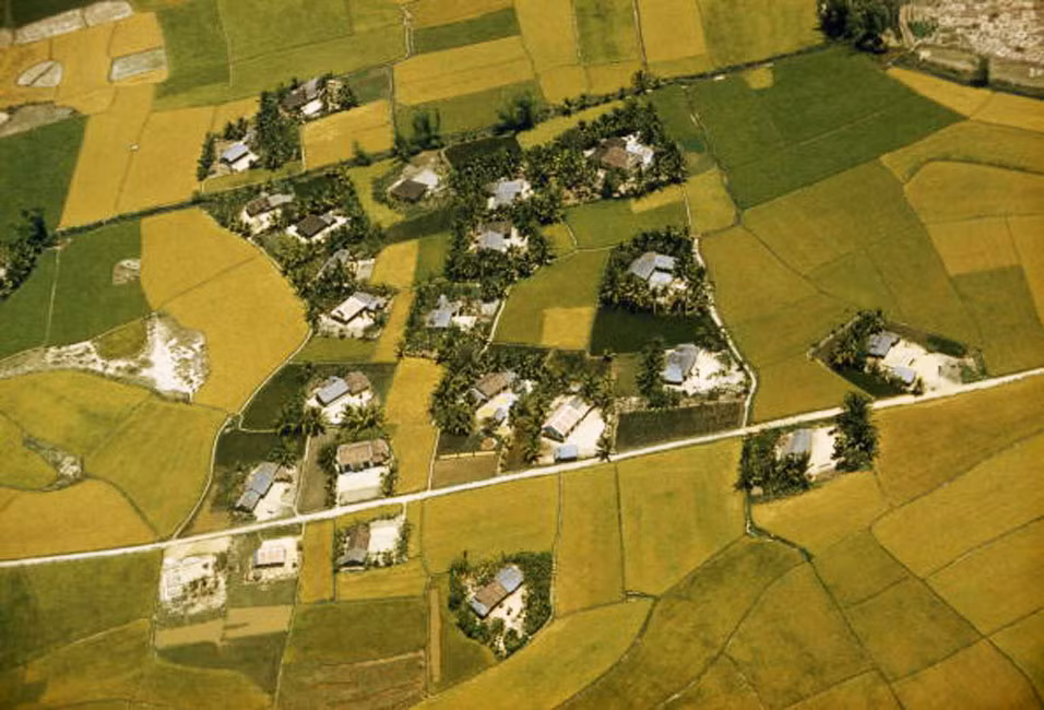 Các trang trại và đồng lúa ở vùng ven biển Đà Nẵng.