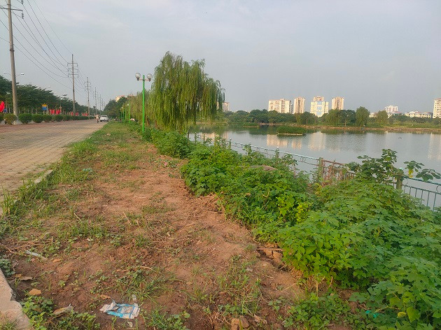 Từng được UBND TP Hà Nội phê duyệt năm 2019 vào danh mục xã hội hóa kêu gọi đầu tư, cải tạo và xây dựng mới trên khuôn viên có sẵn. Theo đó, tiến độ dự án cải tạo công viên Việt Hưng được duyệt thực hiện trong giai đoạn 2020 - 2022 theo hạng mục cải tạo tường rào, hệ thống kè, cổng, điện chiếu sáng và hạ tầng kỹ thuật; xây dựng mới khu luyện tập thể dục thể thao, khu dịch vụ... 