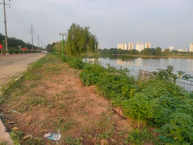 Từng được UBND TP Hà Nội phê duyệt năm 2019 vào danh mục xã hội hóa kêu gọi đầu tư, cải tạo và xây dựng mới trên khuôn viên có sẵn. Theo đó, tiến độ dự án cải tạo công viên Việt Hưng được duyệt thực hiện trong giai đoạn 2020 - 2022 theo hạng mục cải tạo tường rào, hệ thống kè, cổng, điện chiếu sáng và hạ tầng kỹ thuật; xây dựng mới khu luyện tập thể dục thể thao, khu dịch vụ... 