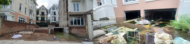 Nhiều biệt thự trở thành bể chứa nước mưa, rác thải, phát sinh bọ gậy và muỗi, ô nhiễm môi trường. 