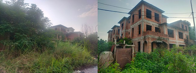 Phần lớn các căn biệt thự ở đây bị “bỏ quên” quá lâu nên cây leo, cỏ dại che lấp hết lối vào khiến khu đô thị trở nên hoang lạnh. 