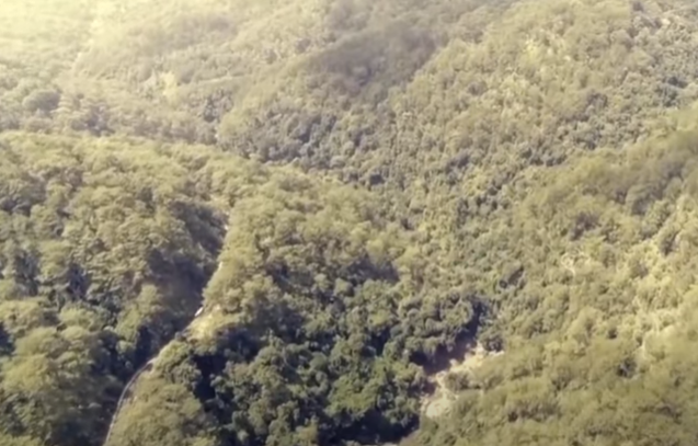 Hanh trinh pha an: Nghi dan em 