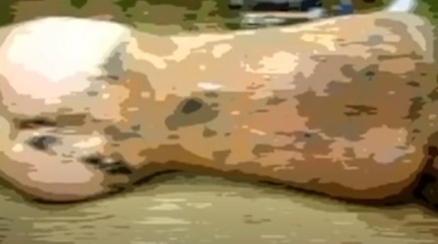 Khám nghiệm tử thi cho thấy xác nam thanh niên trạc tuổi 40, trên người có vết đâm. Trên đầu có vết thương chứng tỏ đã bị đập bằng vật cứng rất mạnh.