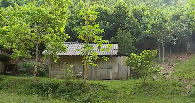 Từ sự thông thạo địa bàn dân cư của lực lượng công an xã, việc khoanh vùng đối tượng nghi vấn đã nhanh chóng thu được kết quả ban đầu. Trong số các hộ gia đình có nương rẫy gần hiện trường, nổi lên gia đình bà Đỗ Thị Đôn ở thôn 1 xã Lâm Giang có đặc điểm nghi vấn. Bà Đôn bỏ chồng đã lâu hiện sống với hai người con một trai một gái. Quê ở Hạ Hoà, Phú Thọ lên Lâm Giang khai hoang đã mấy chục năm.