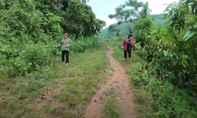 Leo đến chỗ Tâm phát cỏ thì không thấy người. Trên nương ngô chỉ có đống cỏ đã phát xong đang chất đống cùng chiếc cào cỏ nằm chỏng chơ. Trai tráng trong bản thạo đường rừng tìm cả ở mấy vực sâu mà Tâm có khả năng ngã khi đi về trên đường núi cheo leo cũng không tìm thấy người. Cả bản không ai bảo ai đều thắc mắc đặt câu hỏi Tâm đi đâu.