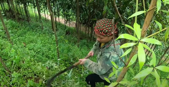 Từ nhận định này, việc khoanh vùng địa bàn tìm thủ phạm được xác định. Các trinh sát tập trung rà soát các hộ dân có nương rẫy gần hiện trường và những người thường săn bẫy thú rừng trong vùng, để tìm ra những nam giới có biểu hiện nghi vấn trước, trong và sau khi vụ án xảy ra. Đặc biệt là những người có mặt gần khu vực hiện trường vào thời điểm nạn nhân Tâm bị sát hại.