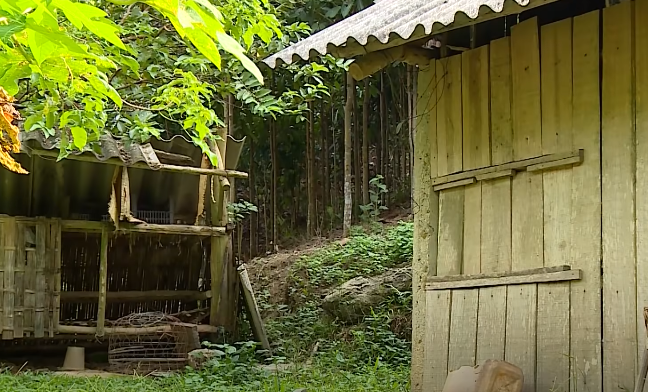 Trong sinh hoạt hàng ngày, đó là một bà già lắm lời, sẵn sàng xắn tay áo chửi bới hàng xóm, người con trai tên Nguyễn Văn Tiến sinh năm 1984 đã bỏ học từ lâu, tính tình khá ngỗ ngược, nên cũng ít người qua lại, giao du với gia đình này. Gia đình bà Đôn có khoảng nương nhỏ cách nương nhà chị Tâm không xa trên đỉnh núi Lở.