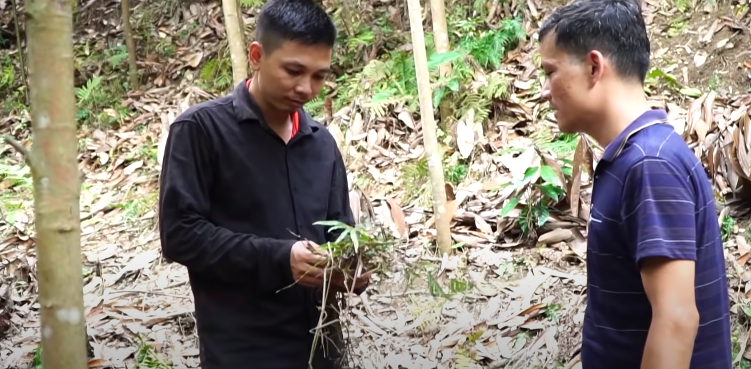 Từ đó cho thấy rất có thể cỏ ở hai nương này đã được phát cùng một thời điểm, mà nhà bà Đôn thì không có ai khác vào làm nương ngoài Tiến. Lời khai của nhân chứng dọc hai bên đường từ nhà Tiến vào hiện trường cũng cho thấy có hai người dân đã trông thấy Tiến vác cuốc lên nương vào buổi sáng ngày 7/5/2003.