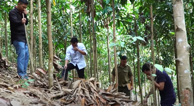 Nhận được tin báo án, Công an tỉnh Yên Bái huy động toàn bộ đội trọng án tức tốc lên đường. Ngay từ khi tiếp cận thi thể nạn nhân, đoàn công tác đã đặc biệt chú ý đến sợi dây trói cũng như cách hung thủ trói ghì hai tay nạn nhân vào cổ rất lạ lùng. Những giả thuyết về thói quen, nghề nghiệp của hung thủ được đưa ra.