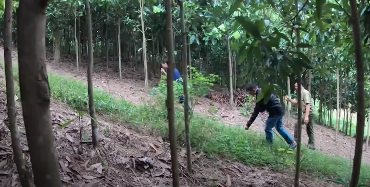 Tuy nhiên, tất cả mọi thông tin trên vẫn chưa thể khẳng định thủ phạm là đứa con trai tên Tiến của bà Đôn vì chưa thu được bằng chứng phạm tội. Các trinh sát lại không quản đường xa cất công leo lên núi Lở lần nữa để kiểm tra nương nhà bà Đôn.