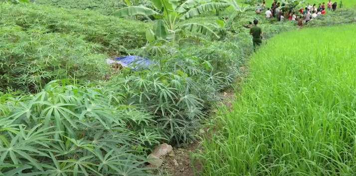 Khu vực bà Mẩy tử vong rất vắng vẻ, đường đi lại khó khăn nên không có nhân chứng. Công an tỉnh Lai Châu nhận định vụ án này có thể liên quan đến thù tức cá nhân và nghi phạm nhiều khả năng là người địa phương.