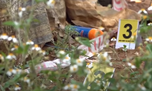 Thời gian tử vong được xác định trong vòng 12 giờ đồng hồ do các cơ chưa căng cứng. Từ kết quả khám nghiệm tử thi nạn nhân, cơ quan chức năng bước đầu dựng lên chân dung kẻ gây án là người có mối quan hệ quen biết với ông Bùi Văn Thăng, người có chiều cao bằng hoặc hơn nạn nhân, khoảng 1,65m. Bên cạnh đó, qua thu thập hiện trường, cơ quan điều tra xác định nhiều khu vực trong căn chòi gỗ có dấu hiệu bị lục lọi, tìm kiếm tài sản. Đây là chi tiết, manh mối quan trọng để Ban chuyên án tập trung khoanh vùng, truy tìm đối tượng gây án.