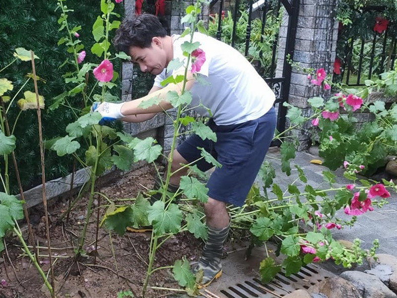 Nam danh hài chăm sóc cây cối tại biệt thự nhà vườn của riêng mình.