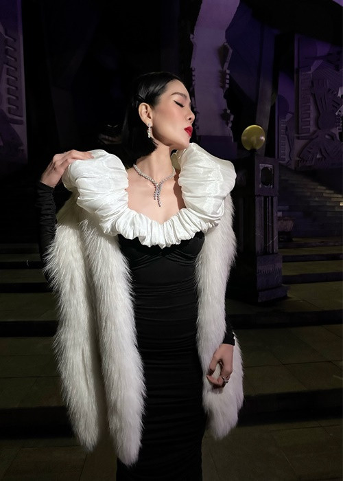 Trước đó, Lệ Quyên không ít lần mua áo lông thú để giúp mỗi set đồ của mình trở nên sành điệu hơn. Ảnh: Dân Việt