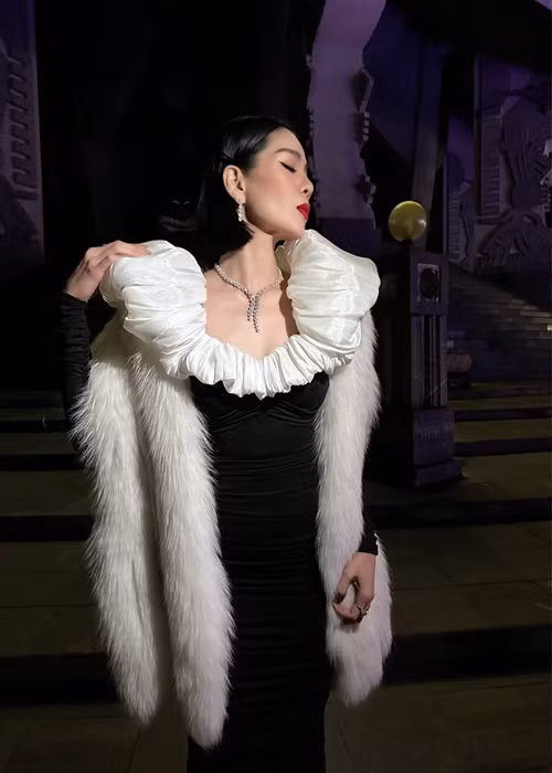 Trước đó, Lệ Quyên không ít lần mua áo lông thú để giúp mỗi set đồ của mình trở nên sành điệu hơn. Ảnh: Dân Việt
