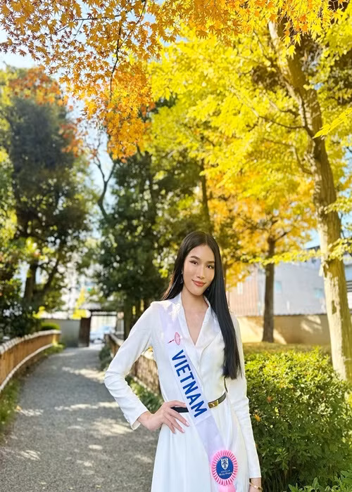 Mới đây, ban tổ chức Miss International 2022 - Hoa hậu Quốc tế 2022 mở cổng bình chọn trên một ứng dụng để thí sinh có cơ hội lọt thẳng vào top 15. Ở khu vực châu Á - châu Đại Dương, đại diện Việt Nam - Á hậu Phương Anh đang tạm dẫn đầu.