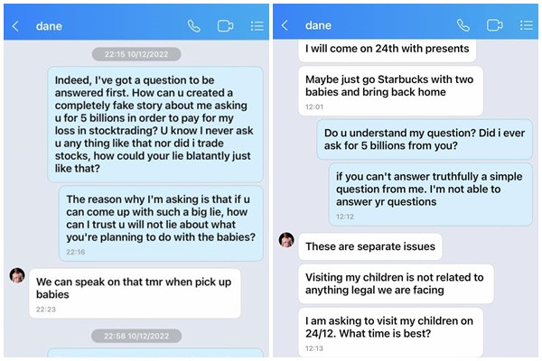 Su that Elly Tran doi chong 5 ty vi thua lo chung khoan-Hinh-2