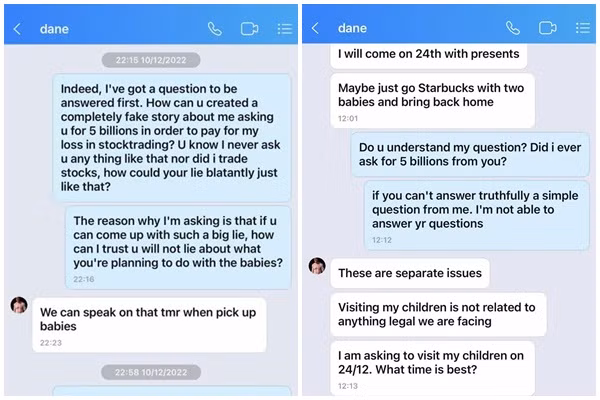 Su that Elly Tran doi chong 5 ty vi thua lo chung khoan-Hinh-2