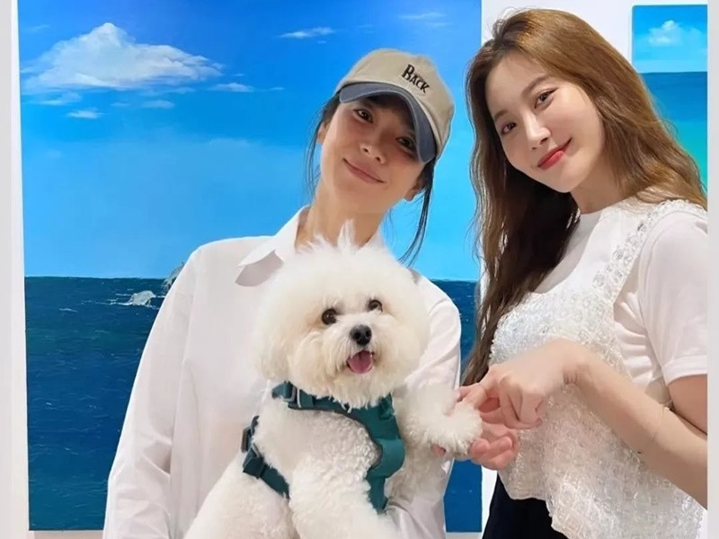 Vợ cũ của Song Joong Ki thường xuyên có mặt trong các sự kiện của bạn bè, đồng nghiệp.