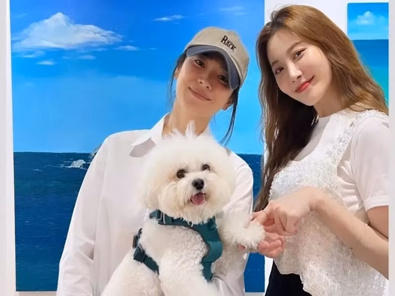 Vợ cũ của Song Joong Ki thường xuyên có mặt trong các sự kiện của bạn bè, đồng nghiệp.