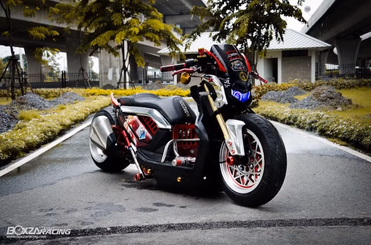 Thuộc dòng xe ga cá tính Zoomer, tuy nhiên chiếc xe Honda Zoomer X chỉ được bán giới hạn tại một số thị trường châu Á như Nhật, Thái Lan hay Phillipines. Mặc dù không được phân phối rộng rãi, tuy nhiên nhờ có kiểu dáng không "đụng hàng", chiếc xe đã thu hút được một lượng "fan" không nhỏ, đặc biệt tại Thái Lan.