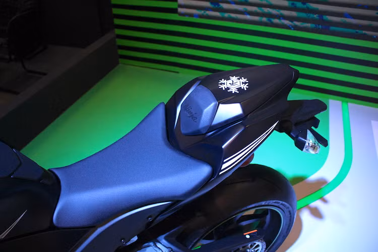 Chiếc xe sẽ được bán với tông màu đen mờ mạnh mẽ, cùng dàn áo đi tem theo phong cách mẫu xe đua ZX-10R phiên bản thử nghiệm mùa đông Winter Test của đội đua Kawasaki Racing Team tại giải WSBK. Ở phía sau, ZX-10RR có vị trí người ngồi sau thay bằng ốp yên với logo hoa tuyết sơn ở phía trên.