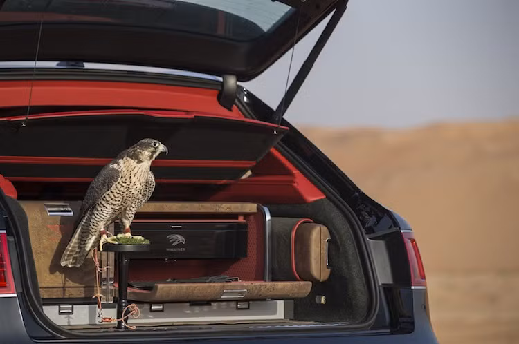 So với những phiên bản thường, Bentayga Falconry có thể tích khoang hành lý giảm đi nhiều do ở phía sau, Mulliner đã bố trí một hộp lớn chứa đầy các trang bị để phục vụ bộ môn thuần hóa diều hâu. Chiếc hộp này có nhiều ngăn, hộc được bố trí khoa học và cũng được hoàn thiện với các vật liệu cao cấp nhất như da, gỗ quý, thép bóng...