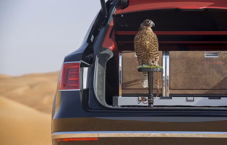 Mức giá của Bentley Bentayga Falconry không được tiết lộ. Tuy nhiên xét tới việc mức giá khởi điểm của một chiếc Bentley Bentayga phiên bản cơ bản có giá lên tới 230.000 USD và loài diều hâu Majestic Saker thường được các đại gia ưa chuộng có thể lên tới 1 triệu USD/con, có thể đoán rằng mức giá cho một chiếc Bentayga Falconery "full option" dễ dàng lên tới mức nửa triệu USD.