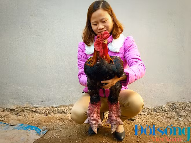 Kham pha “ong bau” cua nhung hoa hau ga Dong Tao-Hinh-3