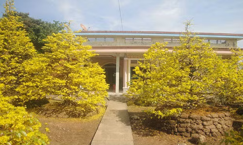 Nếu như miền Bắc dùng hoa đào để chưng vào dịp Tết, thì người miền Nam dùng cây mai vàng để giúp mang lại may mắn, tài lộc và thịnh vượng cho gia đình. Đối với người dân phương Nam, ba ngày Tết, trong mỗi gia đình dù giàu hay nghèo, ít nhất cũng có cây mai, như niềm hy vọng.