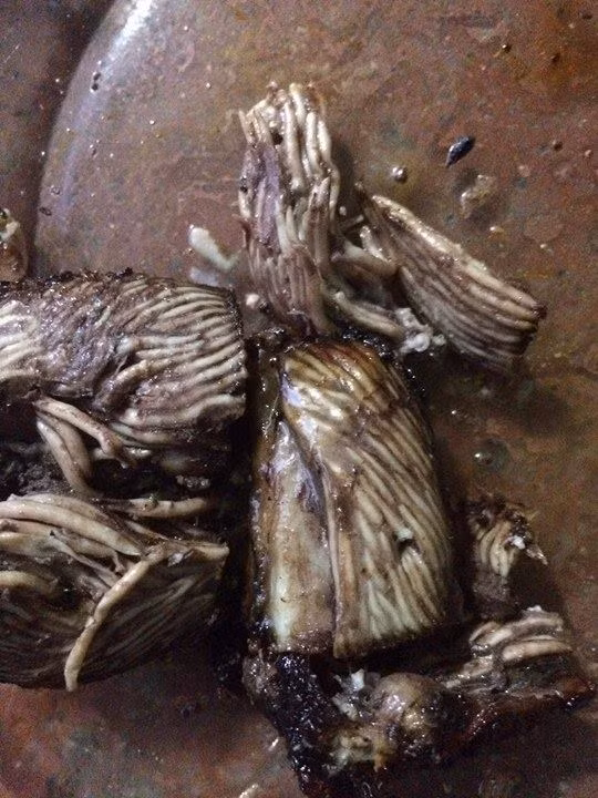 Hình ảnh ruột cá mà cô gái cho rằng cá rán có sán trong bụng.