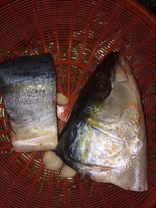 Con cá biển trông rất tươi ngon