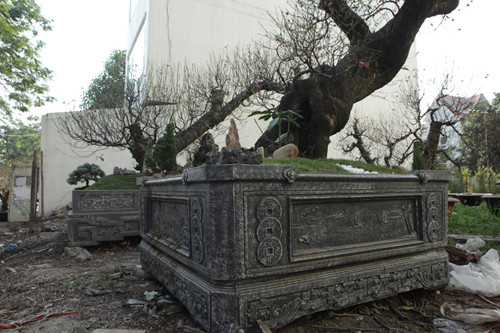 Chậu trồng hai cây đào cũng rất độc đáo, có nhiều họa tiết tượng trưng cho sự giàu sang, may mắn.