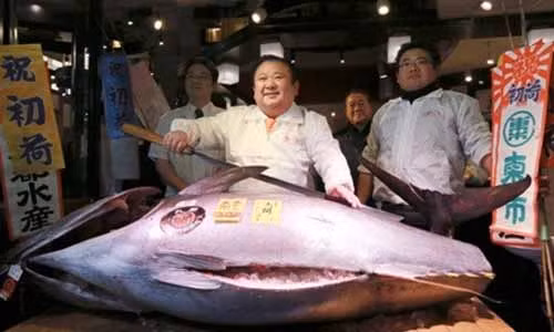 Ky luc ca ngu vay xanh khong lo gia 14,3 ty