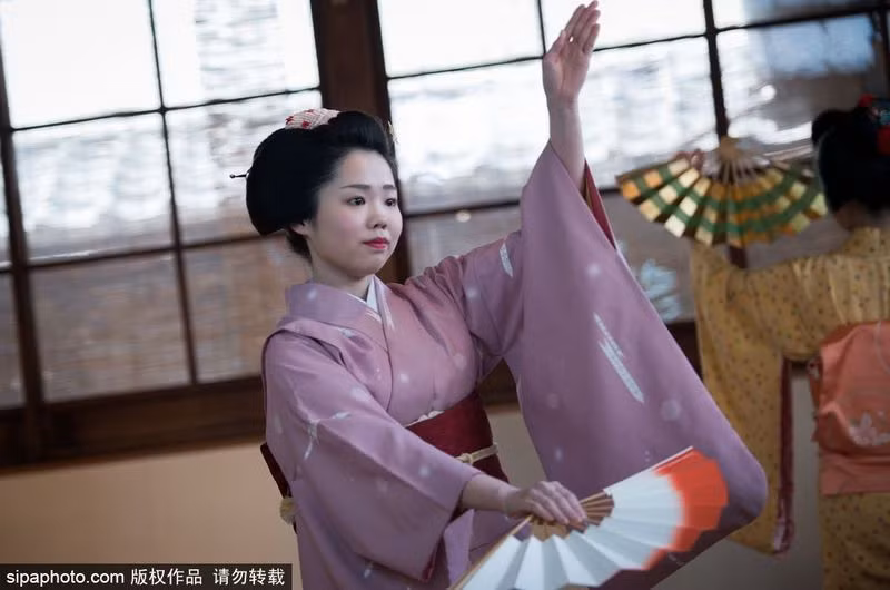 Trước khi được chính thức trở thành một geisha chuyên nghiệp, họ phải trải qua một quá trình vô cùng khổ luyện dưới sự hướng dẫn của một geisha dày dạn kinh nghiệm.