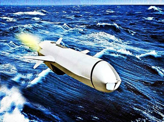 NSM được thiết kế để có khả năng bộc lộ tín hiệu radar thấp, kết hợp khả năng bay lướt trên đỉnh sóng từ 5m đến 10m, để tránh radar của đối phương phát hiện cho đến giây phút cuối cùng có thể; tên lửa không sử dụng đầu dò radar, mà sử dụng các cảm biến hồng ngoại, thu nhận hình ảnh thụ động, do vậy không phát ra tín hiệu để đối phương có thể phát hiện mình đang bị tên lửa NSM tiến công.