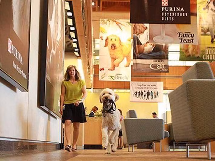 Công ty có môi trường làm việc lý tưởng thứ 3 là Nestlé Purina Petcare (Mỹ): "Không có văn hóa doanh nghiệp ở đâu có thể sánh được với Nestlé Purina Petcare, ổn định, chắc chắn và môi trường thân thiện”, một kỹ sư trong công ty nhận định.