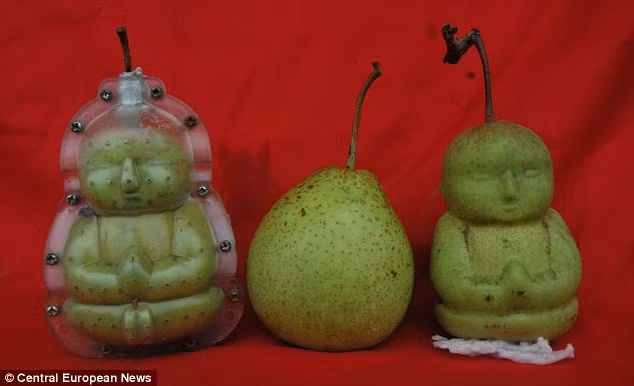 Ngoài hình dáng em bé, nhiều khuôn mẫu còn cho phép tạo nên những trái lê trong hình dáng một vị phật.