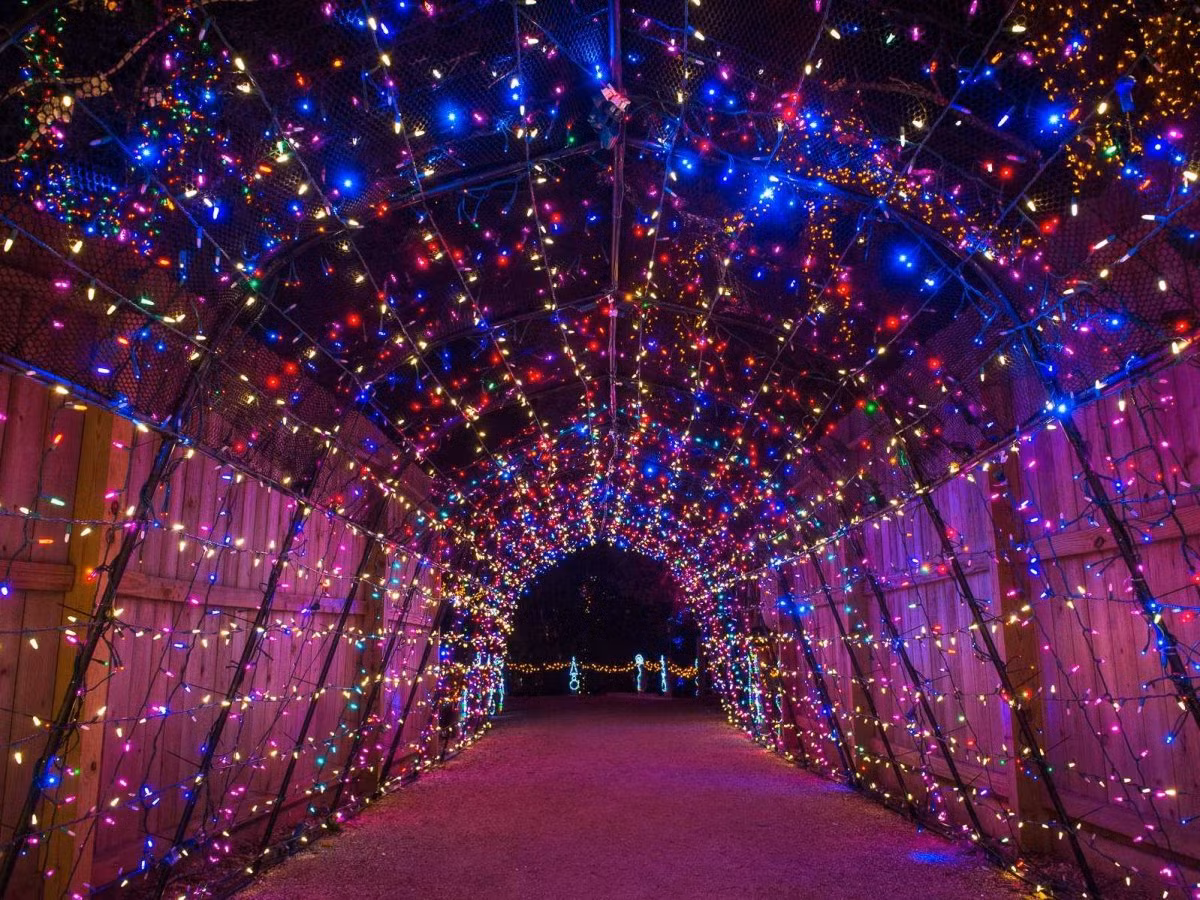 Khu vực "Zoo Lights" tại vườn thú Houston, Mỹ tỏa sáng lung linh với hơn 200 triệu đèn led loại nhỏ.