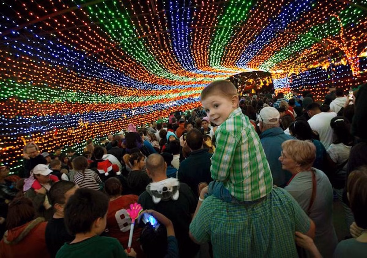 Công viên Zilker ở Austin (Mỹ) đã thu hút đông đảo du khách với đường hầm ánh sáng "Trail of Lights".