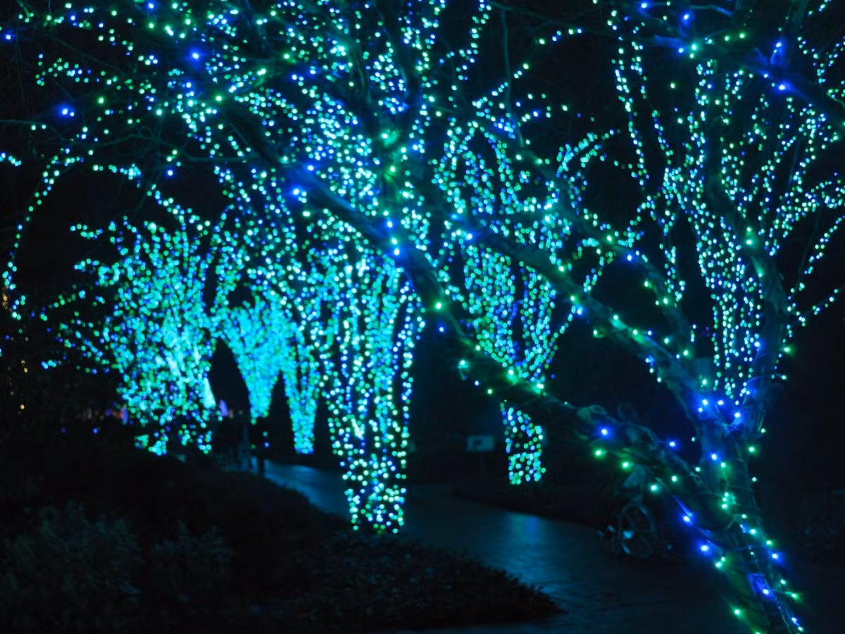 Vườn Bách thảo Atlanta (Mỹ) cũng trang hoàng lộng lẫy với hàng triệu đèn nháy quấn vào thân cây được tạo hình như những bông hoa.