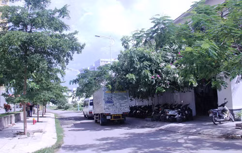 Giay phut dien vien Lan Phuong bi cuop keo le tren duong