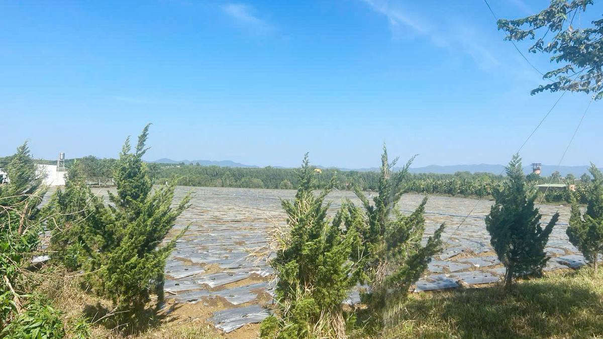 Lâm Đồng: Bắt nguyên trưởng phòng TN&MT huyện Bảo Lâm - Hình 2 Lam Dong: Bat nguyen truong phong TN&MT huyen Bao Lam-Hinh-2