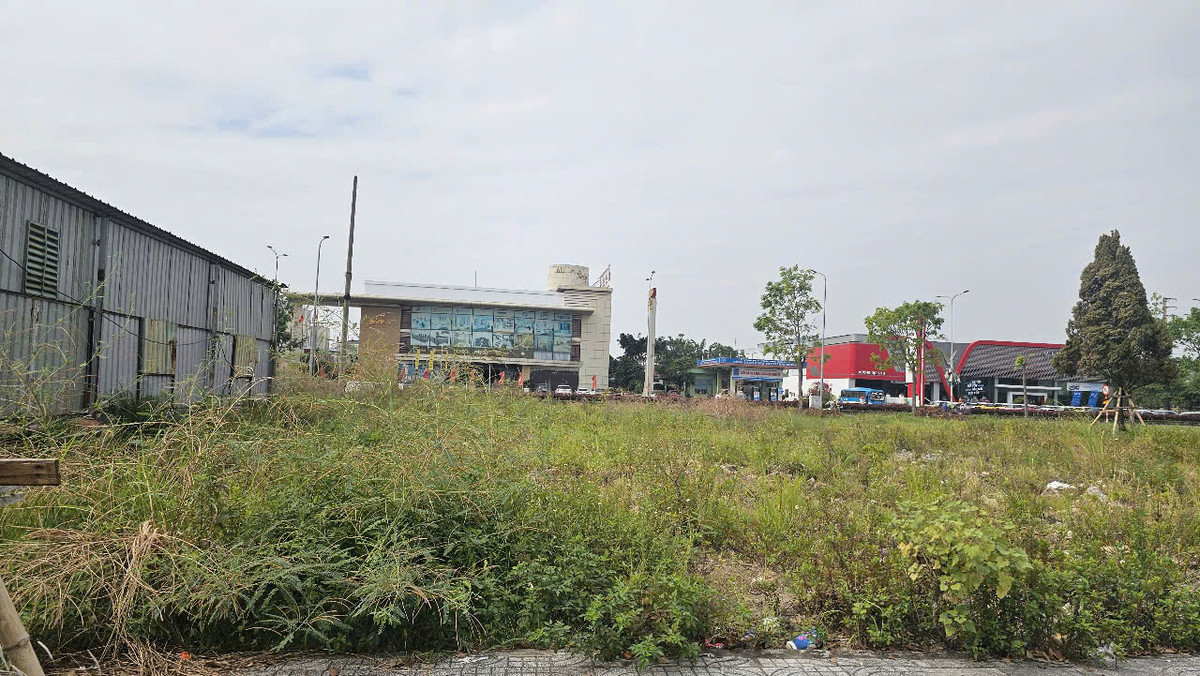 Thanh tra chi thieu sot du an Khu phat trien dan cu Tue Tinh-Hinh-2