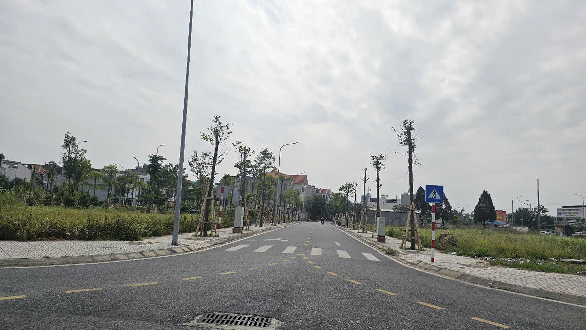 Thanh tra chi thieu sot du an Khu phat trien dan cu Tue Tinh-Hinh-3