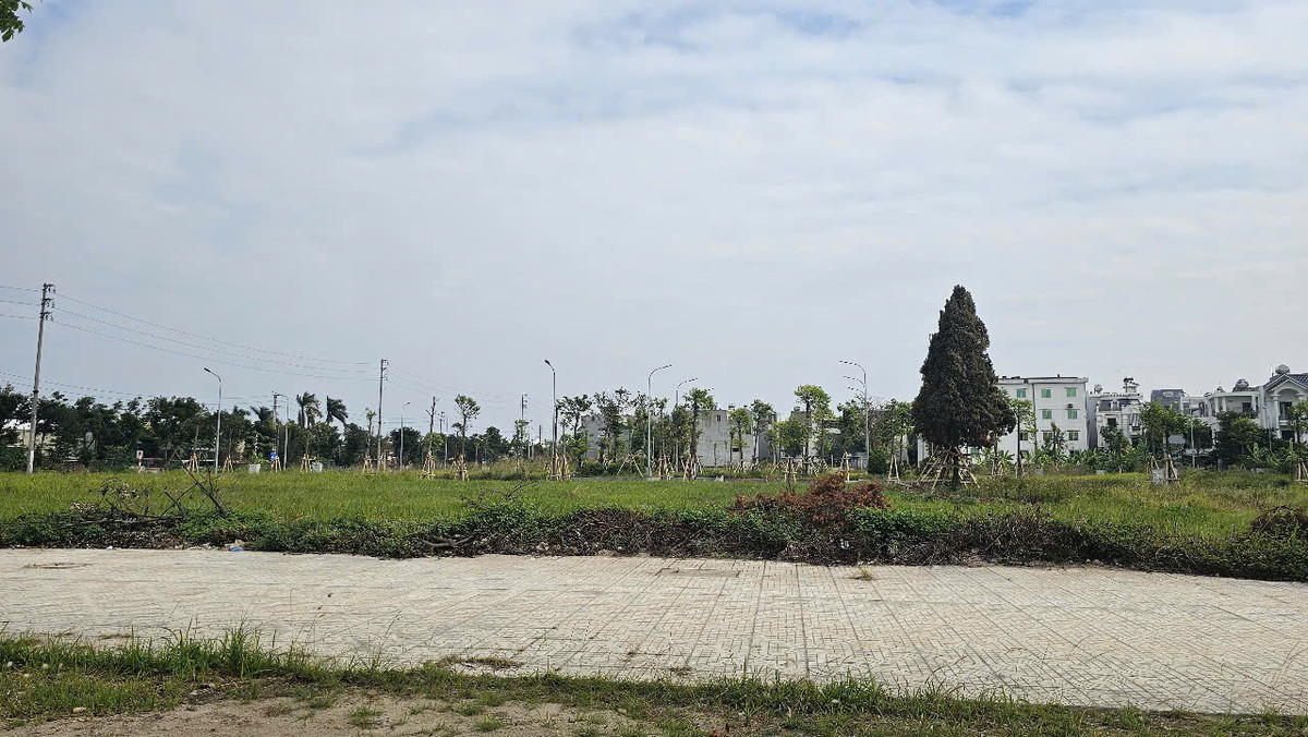 Thanh tra chi thieu sot du an Khu phat trien dan cu Tue Tinh