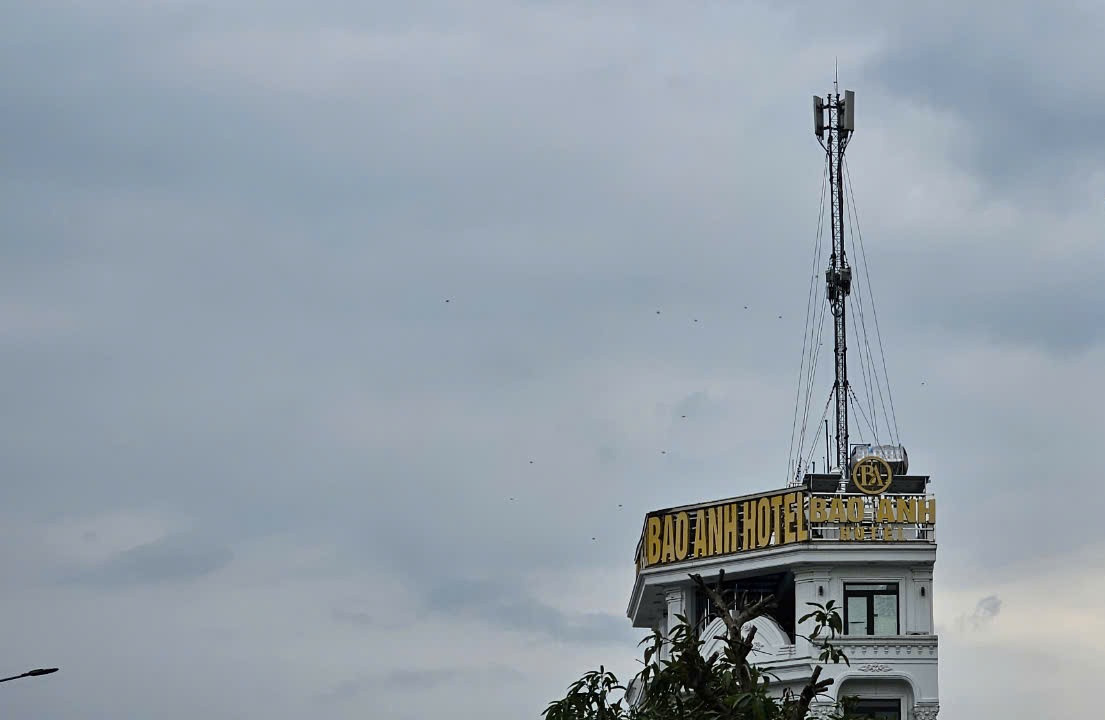 Dây cáp viễn thông giăng như “mạng nhện”, Hải Dương đưa giải pháp Day cap vien thong giang nhu “mang nhen”, Hai Duong dua giai phap
